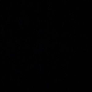 Meet your Posher, Amyah